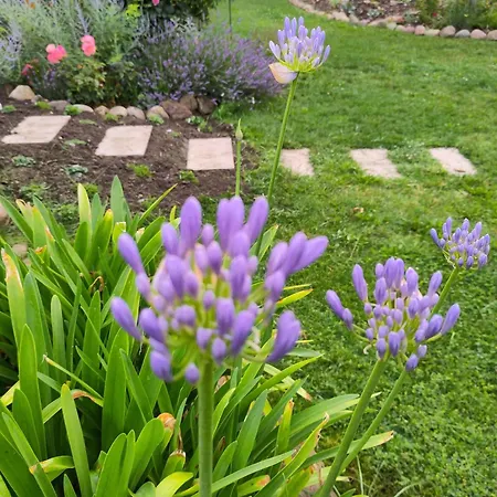 شقة In 53547 Muncheberg