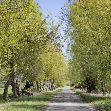 In 53547 شقة Muncheberg