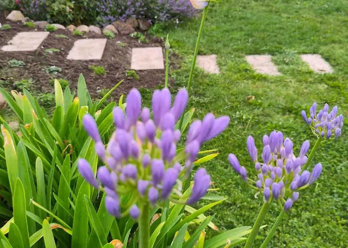 Lejlighed In 53547 Muncheberg