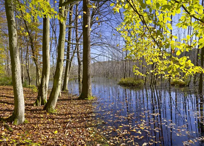 In 53547 Lejlighed *