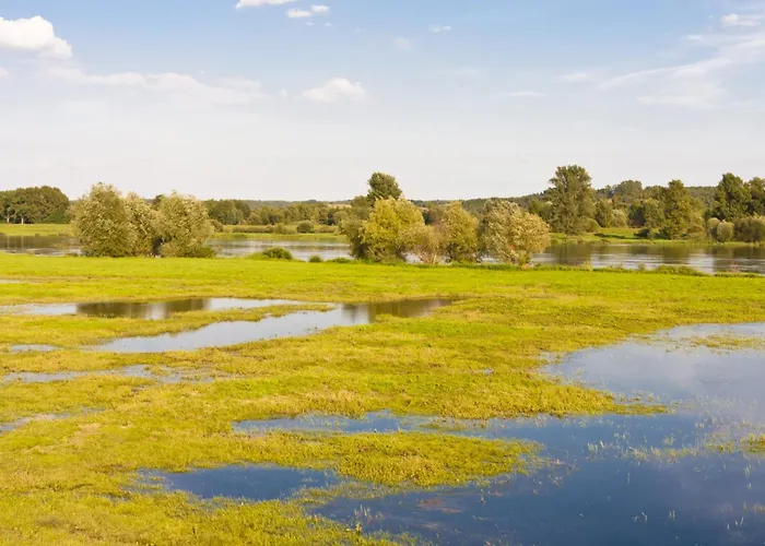 In 53547 Lejlighed Muncheberg