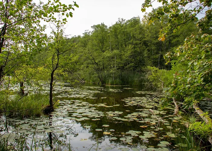 In 53547 Lejlighed *