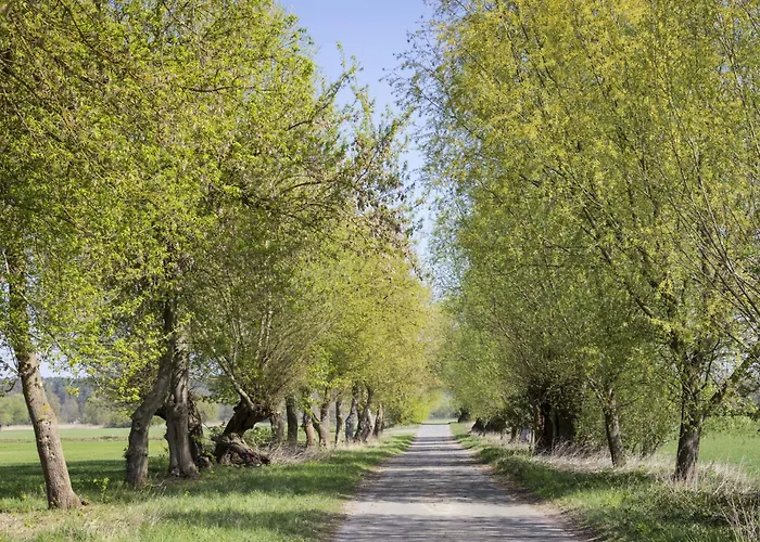 In 53547 Lejlighed Muncheberg